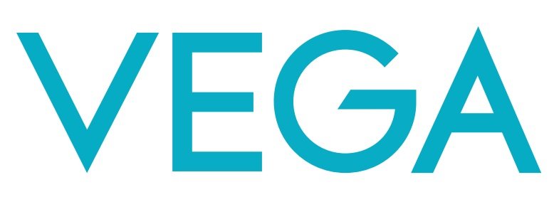 Vega Unveils “Long-lasting Straight Hair” Campaign for LitStyle L1 Hair Straightener Brush with Ananya Panday