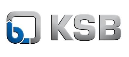 KSB Limited Announces Remarkable Sales Revenue for the Year 2024