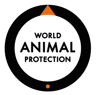 Responsible Human Behaviour Needed to Protect Animals, says World Animal Protection on World Environment Day