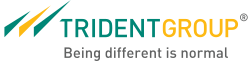 Trident Group Marks Environment Week 2025 with Large-Scale Community Action and Green Initiatives